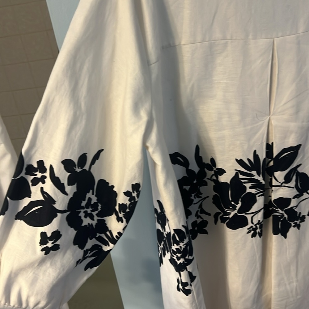 Zara Ivory Top with Black Accents - Picture 7 of 7